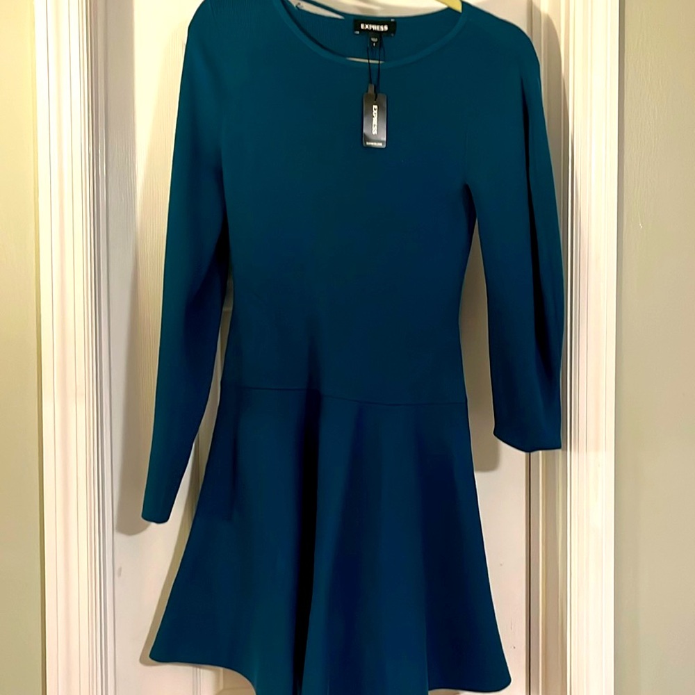 Express flare midi dress NWT